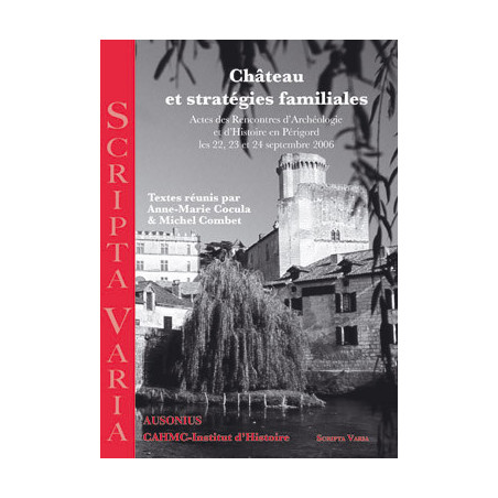 Château et stratégies familiales : actes des Rencontres d'archéologie et d'histoire en Périgord, les 22, 23 et 24 septembre 2006